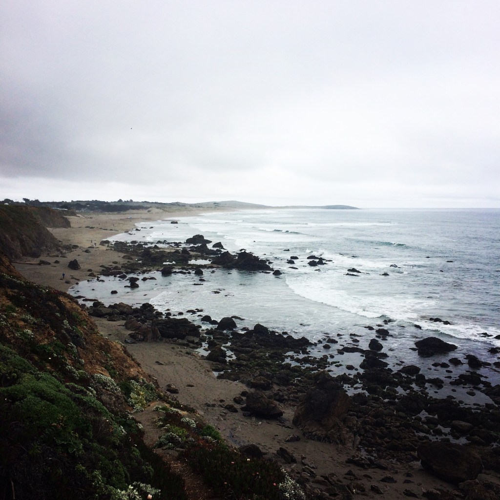 Bodega Bay {Adventures}