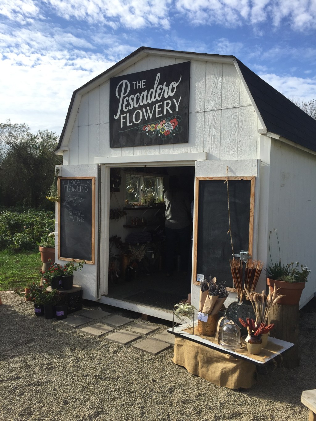 Welcome to Copper +&nbsp;Fern