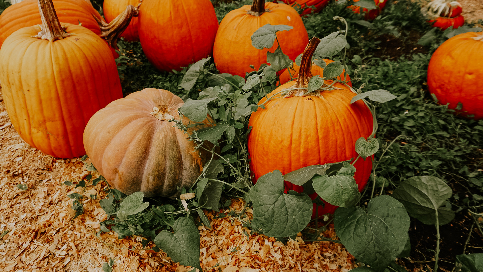 167A80FE-766E-42FA-BCC9-79B83573EDEE