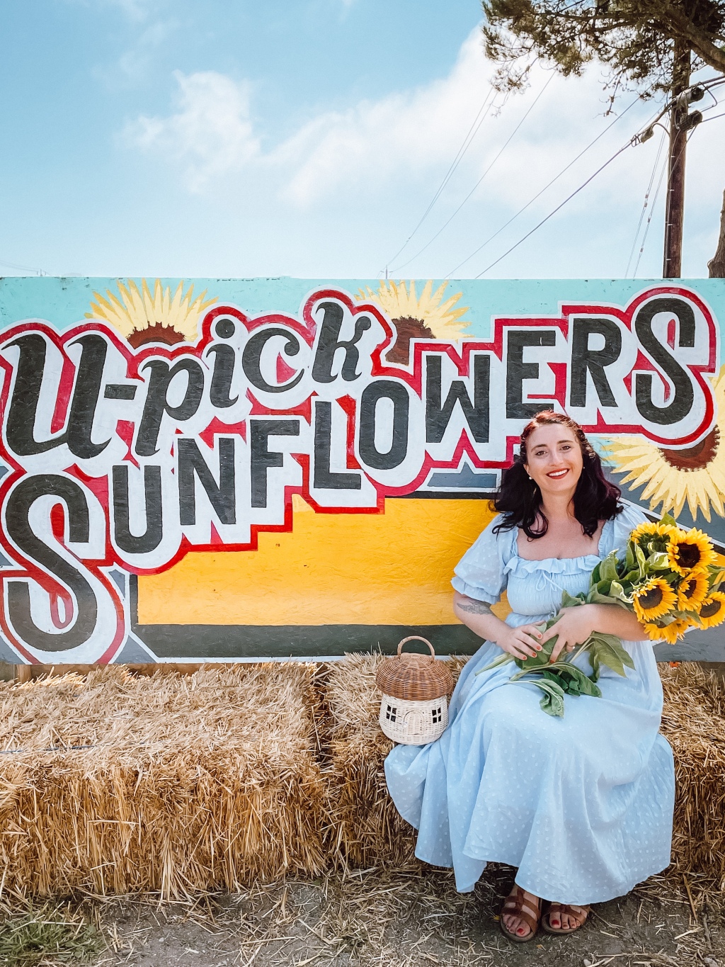 Sunflower Fields Forever: U-Pick Sunflower Field in Half Moon Bay, California